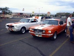 two 196x Mustangs